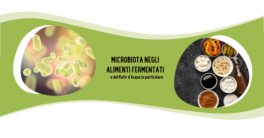 Il Microbiota negli Alimenti Fermentati e del Kefir d'Acqua in particolare