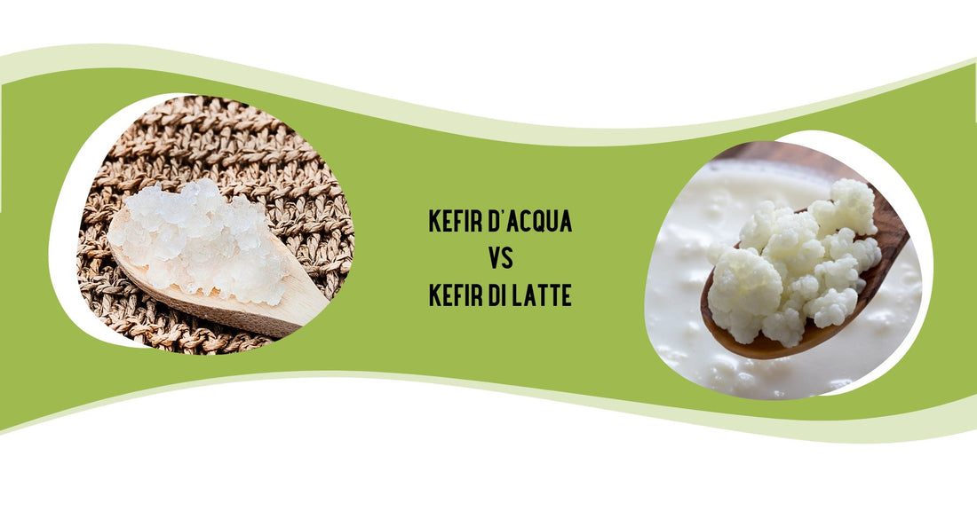 KEFIR D'ACQUA VS KEFIR DI LATTE