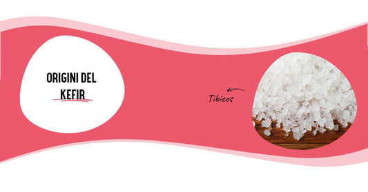 Dove ha origine il Kefir?