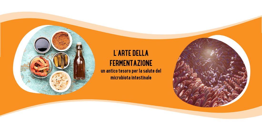 L'ARTE DELLA FERMENTAZIONE: un antico tesoro per la salute del microbiota intestinale