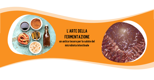 L'ARTE DELLA FERMENTAZIONE: un antico tesoro per la salute del microbiota intestinale