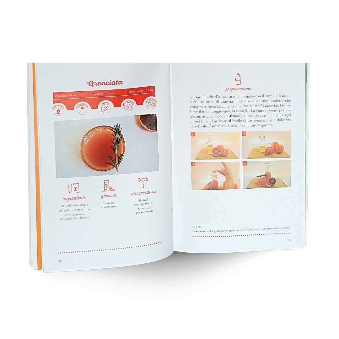 libro_aperto- Kefir d'Acqua - ricette per una cucina sana e viva