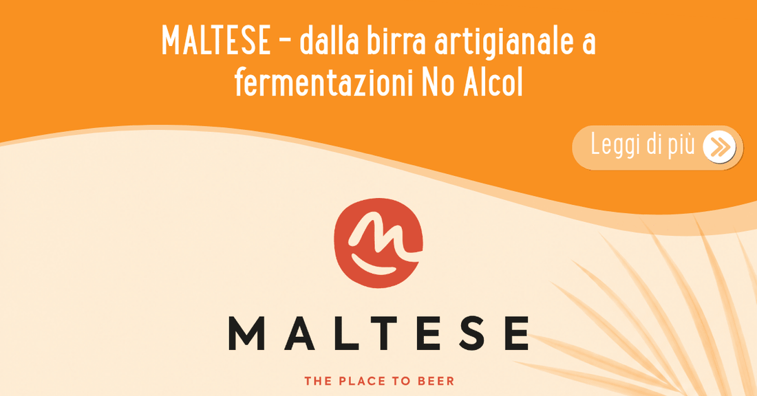 La Fermentazione nella Birra Artigianale: Scienza, Gusto e Benessere