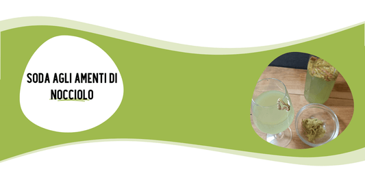SODA AGLI AMENTI