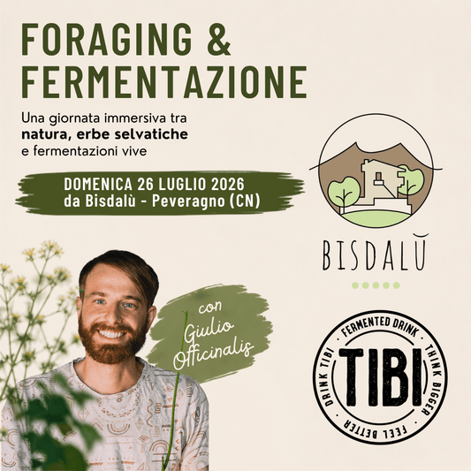 Foraging & Fermentazione | 26 Luglio 2026
