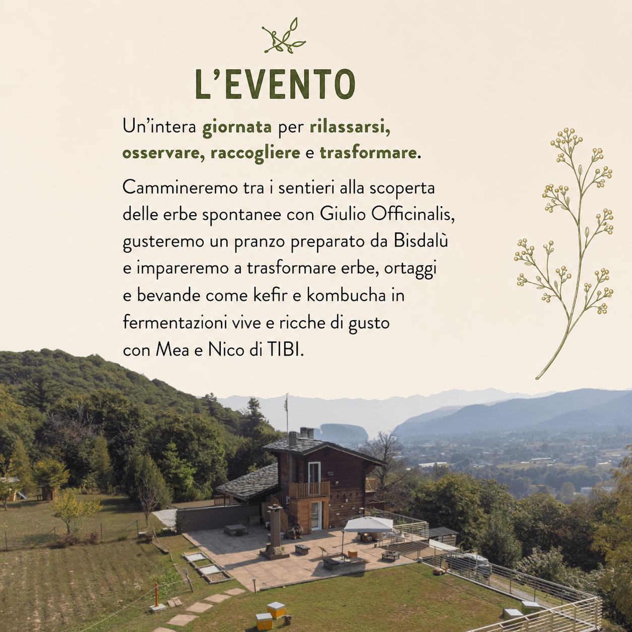 Foraging & Fermentazione | 26 Luglio 2026