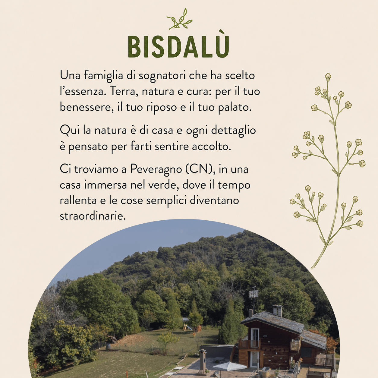 Foraging & Fermentazione | 26 Luglio 2026