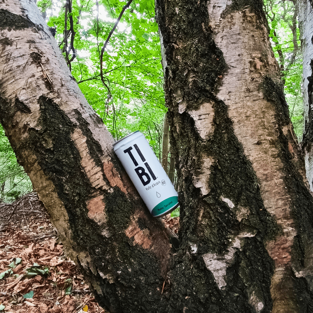 6x330ml TIBI Menta e Spirulina